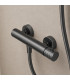 Torneira de Duche Monocomando GENOVA Black gun metal