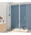 Painel fixo de duche com porta basculante OREGON Prata