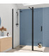 Painel fixo de duche com porta basculante OREGON Preto