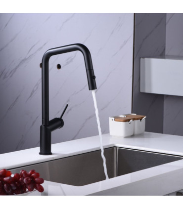 Torneira de cozinha com bico retrátil BONN Preto