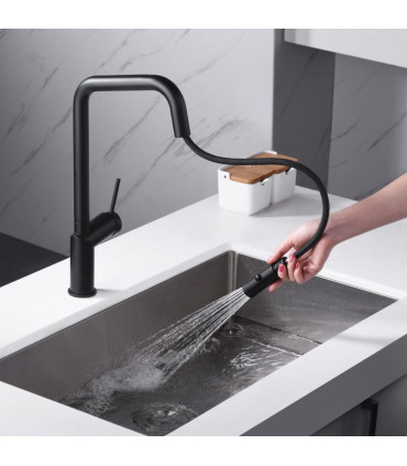 Torneira de cozinha com bico retrátil BONN Preto