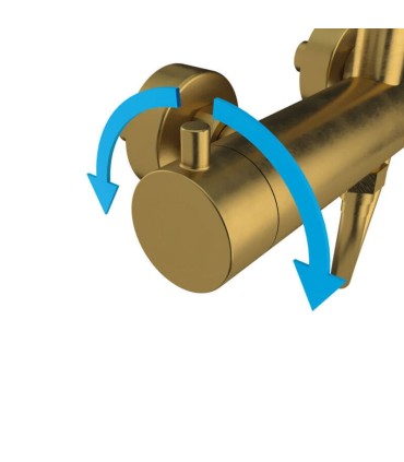 Conjunto de duche INVERTER R Gold PVD