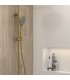 Conjunto de duche INVERTER R Gold PVD