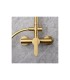 Conjunto duche com chuveiro ROMA Ouro escovado