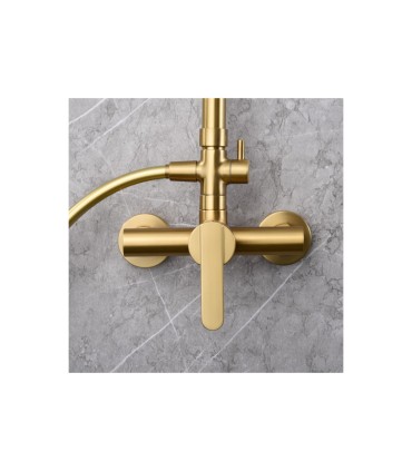 Conjunto duche com chuveiro ROMA Ouro escovado