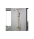 Conjunto duche com chuveiro ROMA Ouro escovado