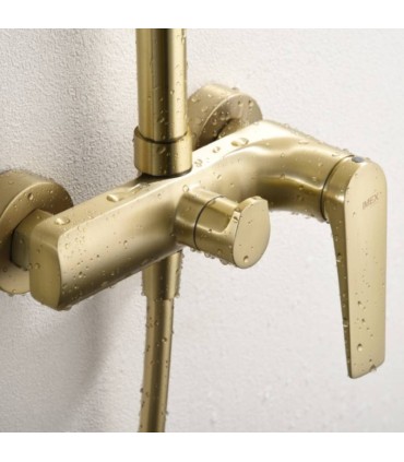 Conjunto de duche monocomando DELOS em ouro escovado