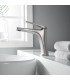 Torneira monocomando para lavatório DELOS aço inox S.316